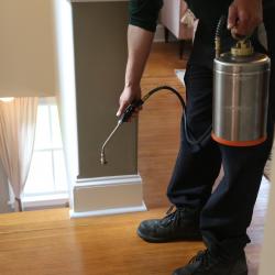 spraying-in-house