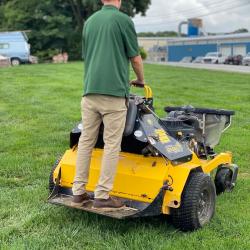 lawn aeration and overseeding