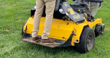 lawn aeration and overseeding