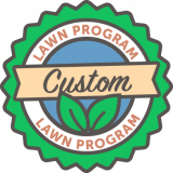custom aeration and overseeding program