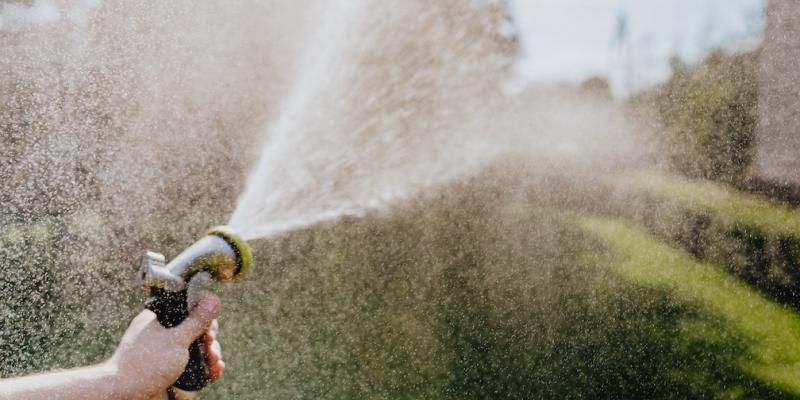 person watering their green lawn
