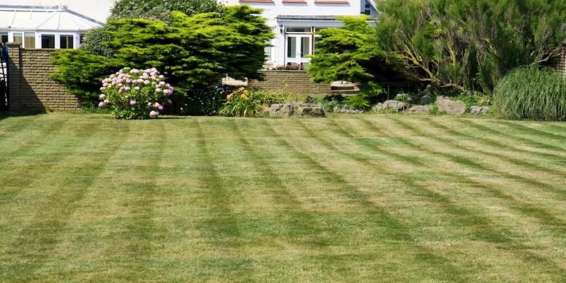 green lawn