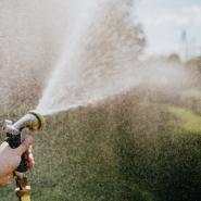person watering their green lawn