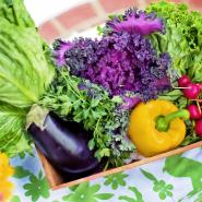 vegetables