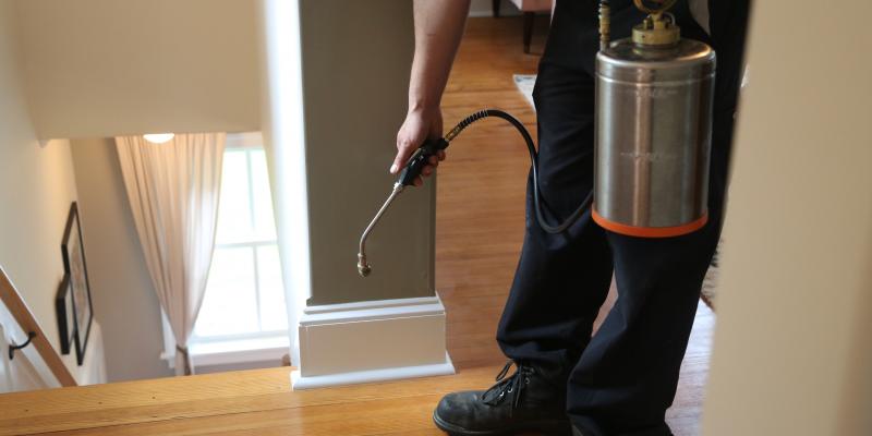 spraying-in-house