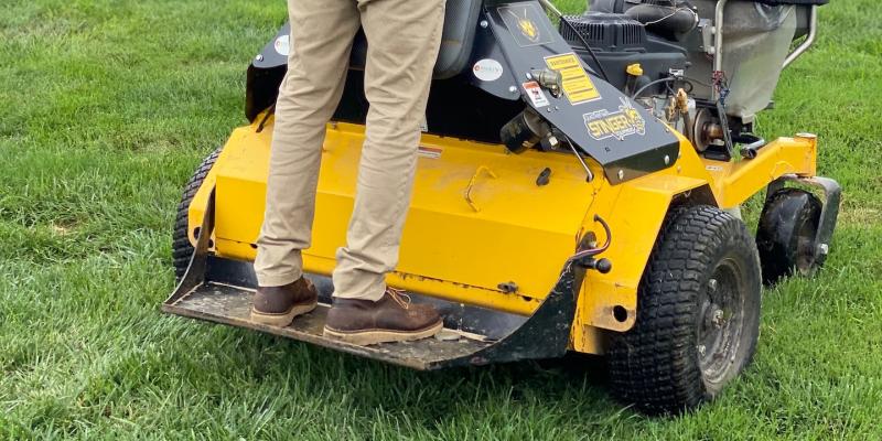 lawn aeration and overseeding